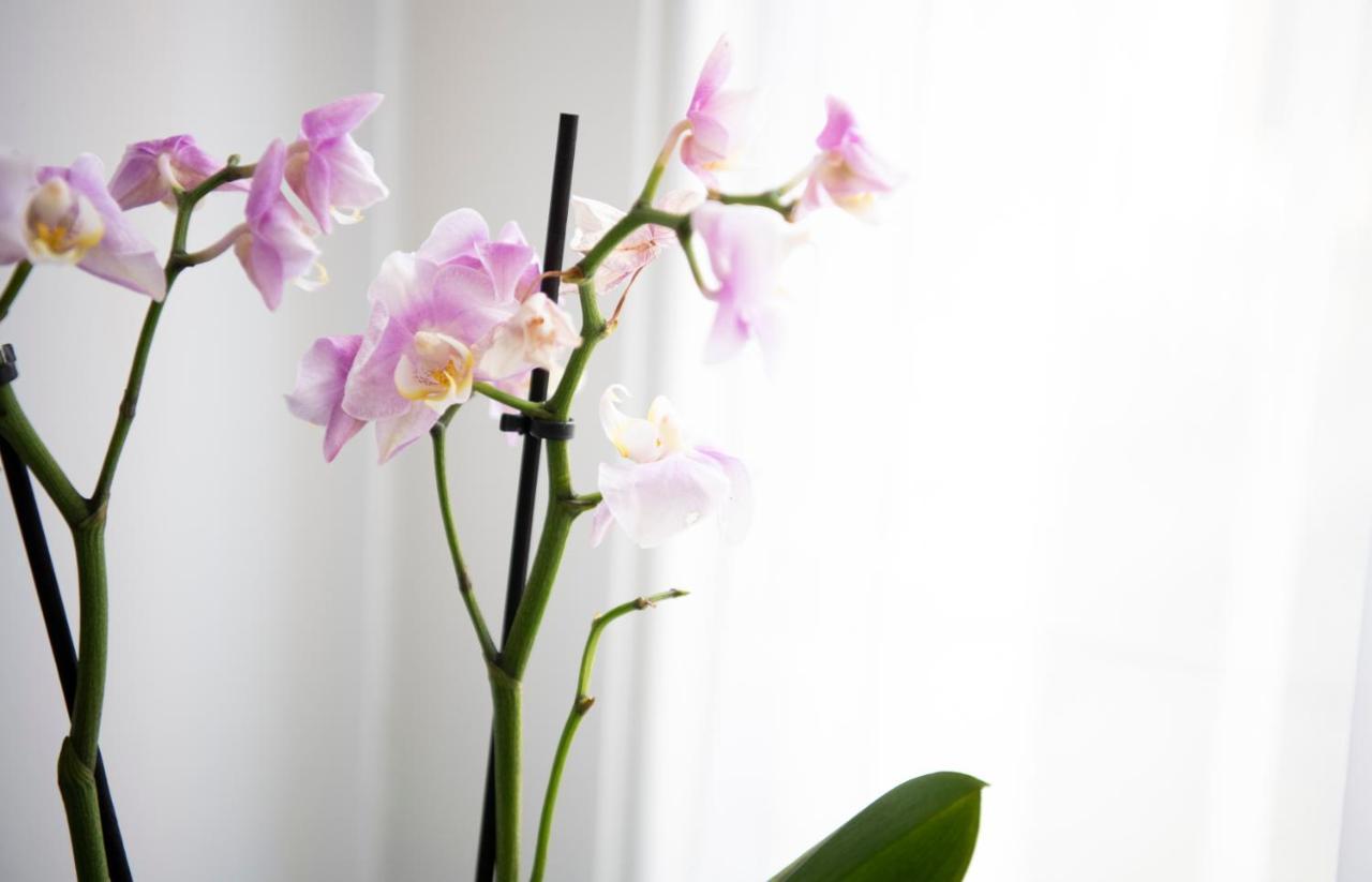 Modern Apartment In Leamington Spa City Centre Ngoại thất bức ảnh